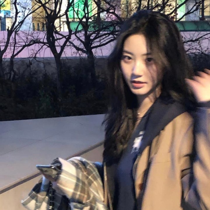 红楼梦第二部:黛玉葬花